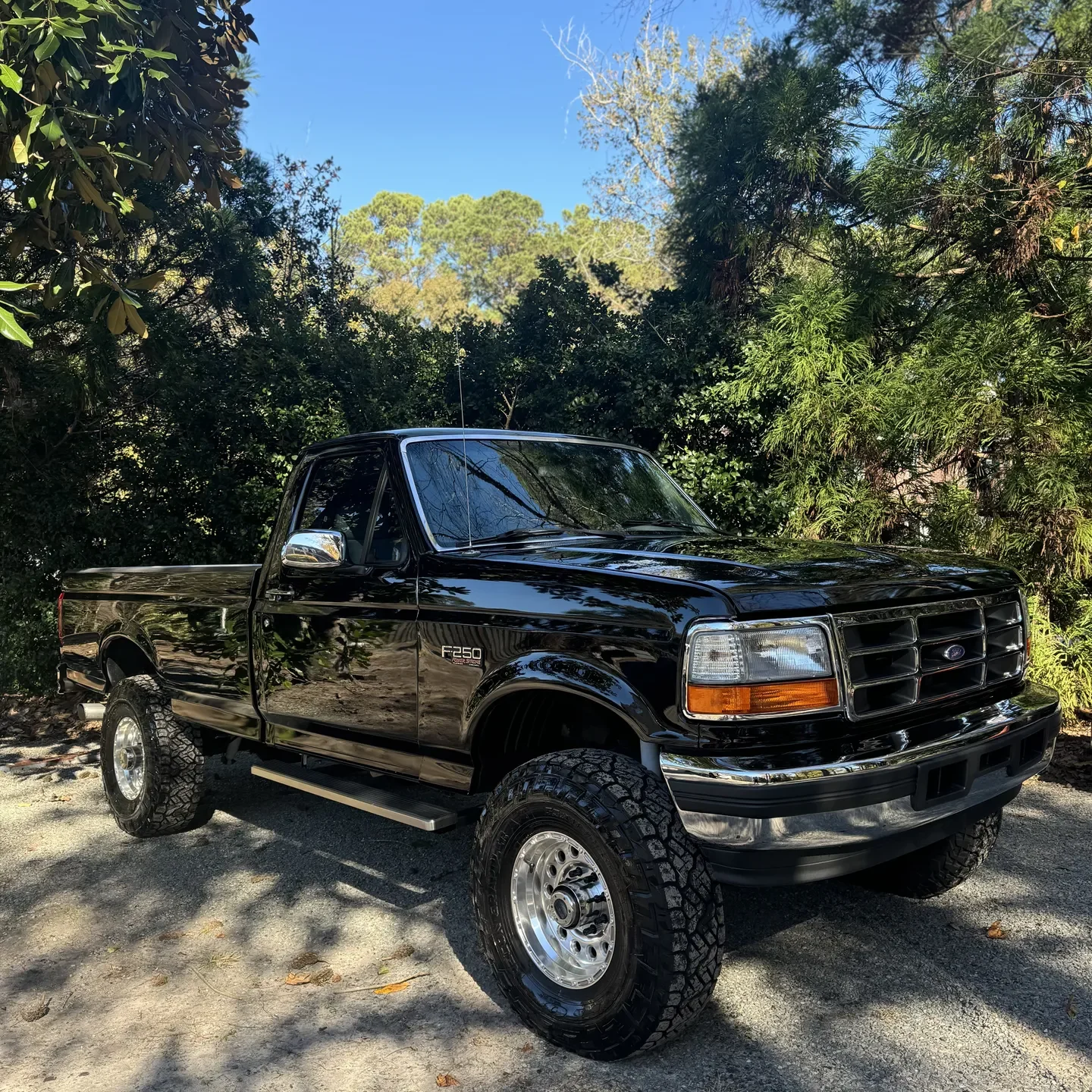 Exterior Detailing Services